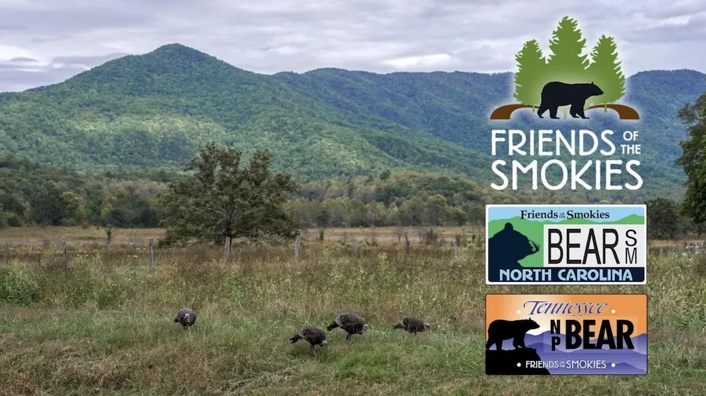 screenshot-2025-10-08-at-9-55-49-pm