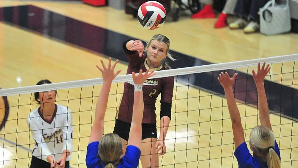 webster-crittenden-1