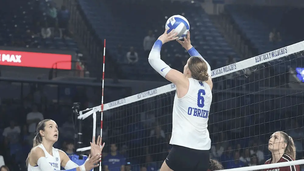 screenshot-2025-11-15-at-3-17-17-am