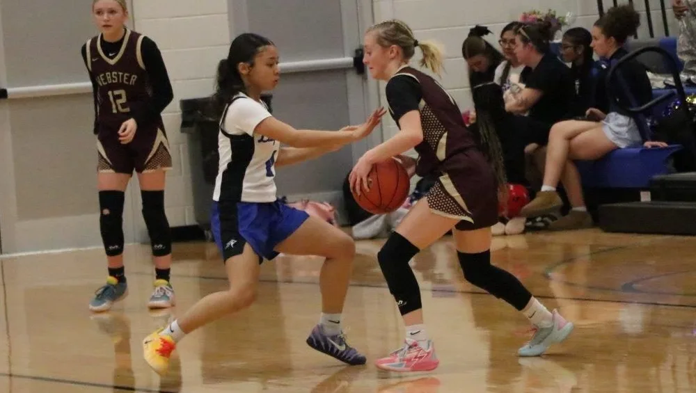 lay-falcons-webster-18-2