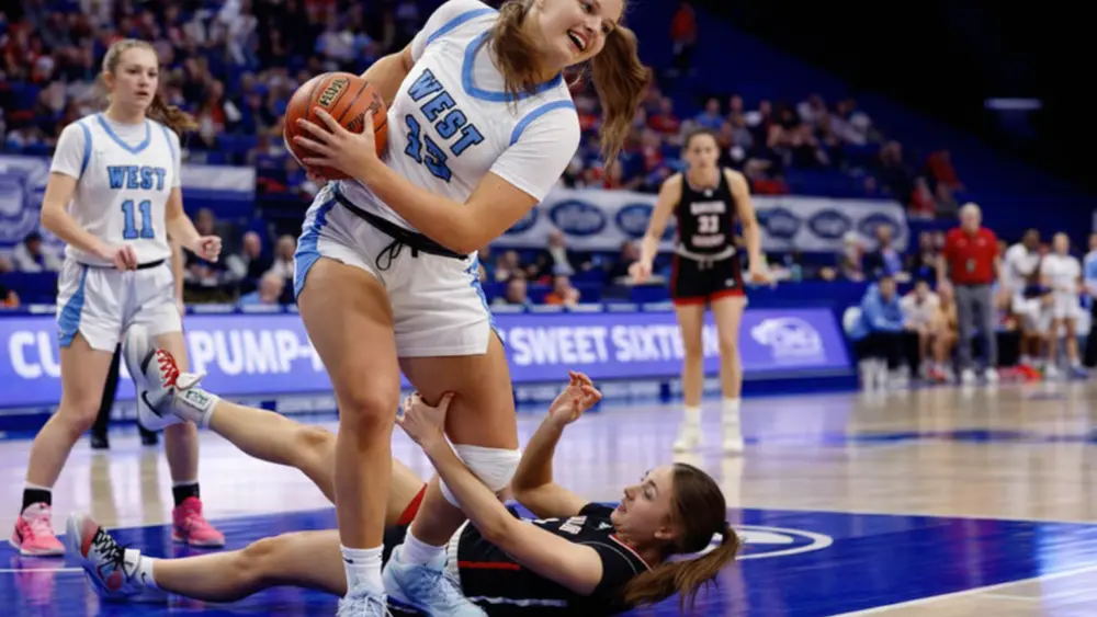 copilot_20260313_054245