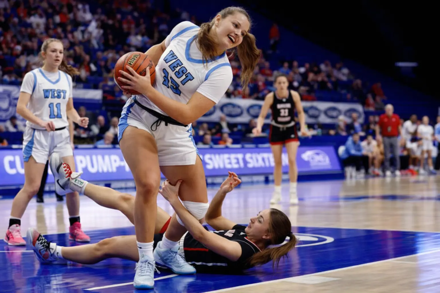 copilot_20260313_054245