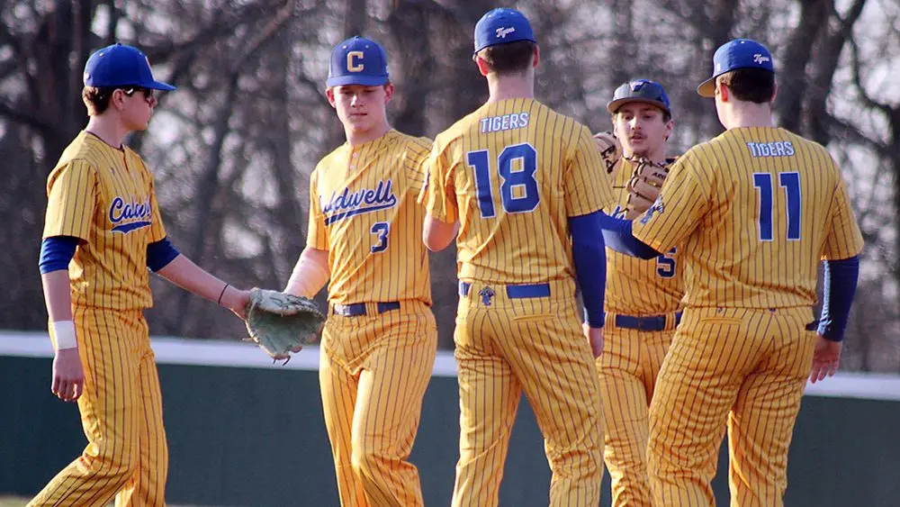 tiger-baseball-at-webster
