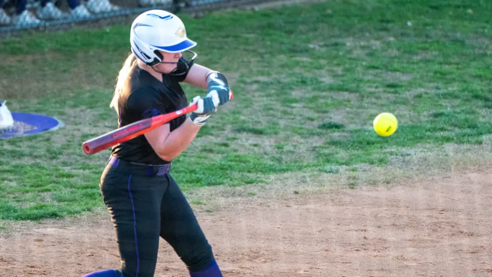 lyon-ballarddsc03279