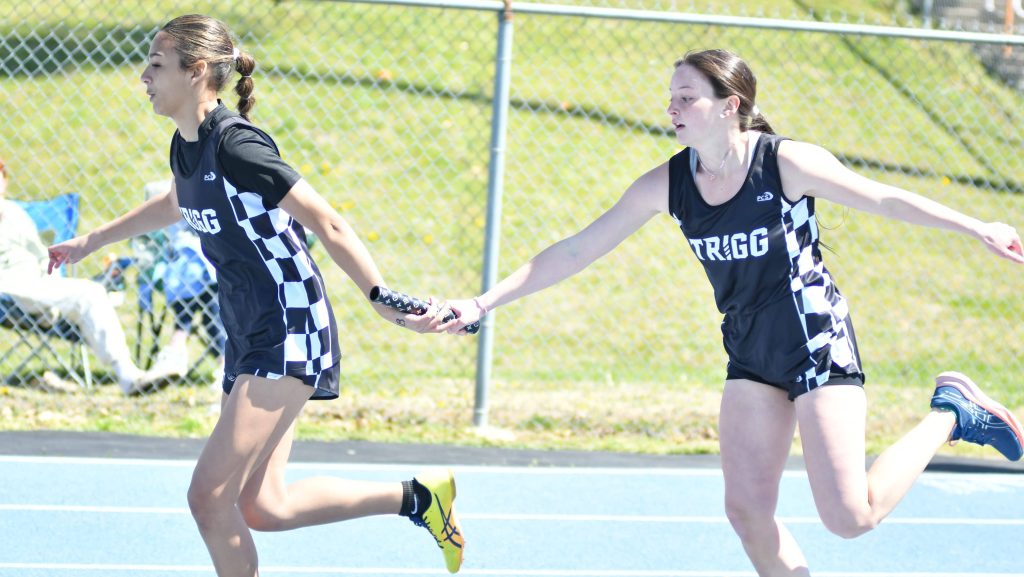 Lady Wildcats Take 16th at the Invitational of the South | Your Sports ...
