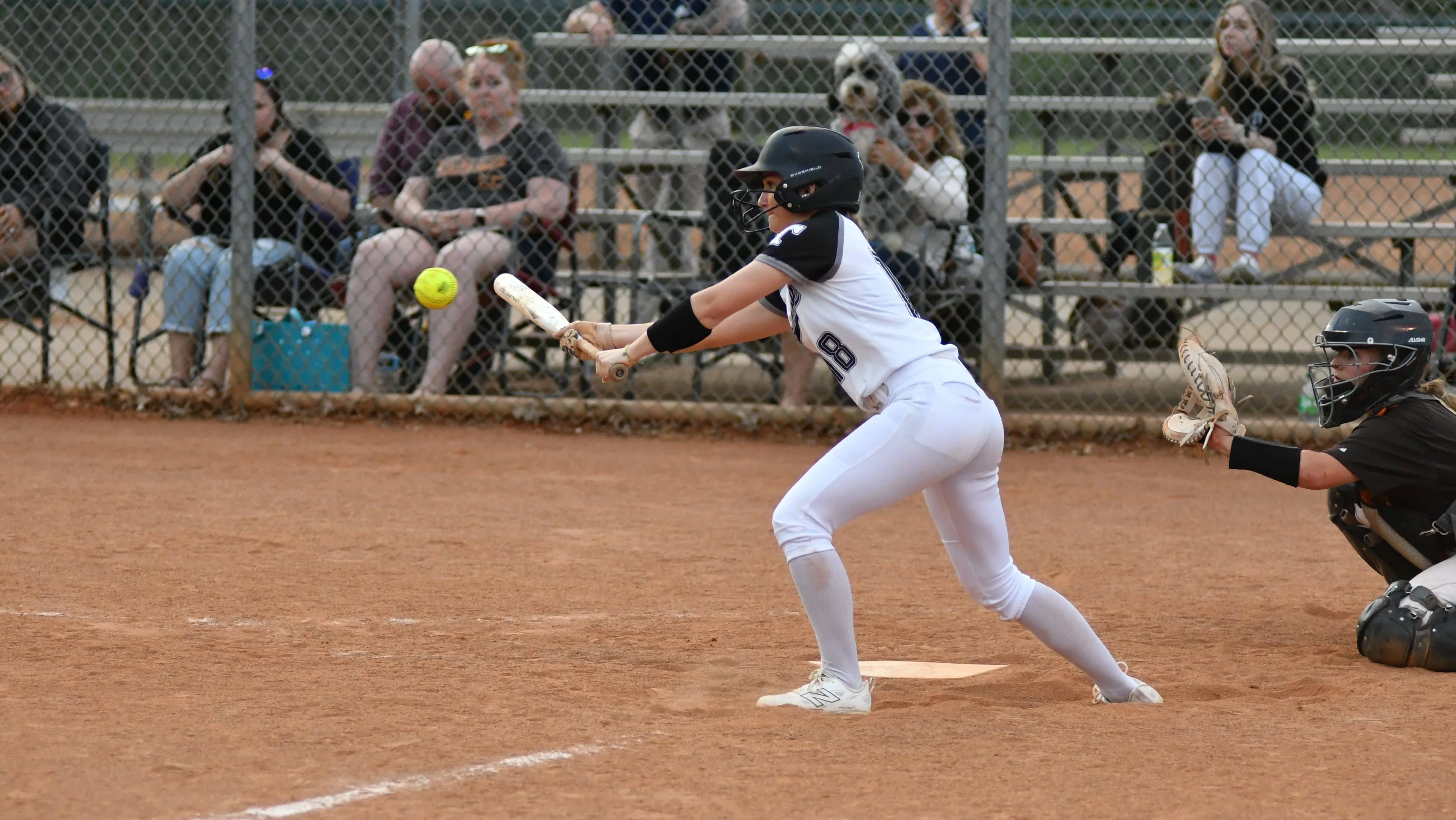 PHOTOS – Trigg County 8 Grissom, Ala. 1 | Your Sports Edge 2021