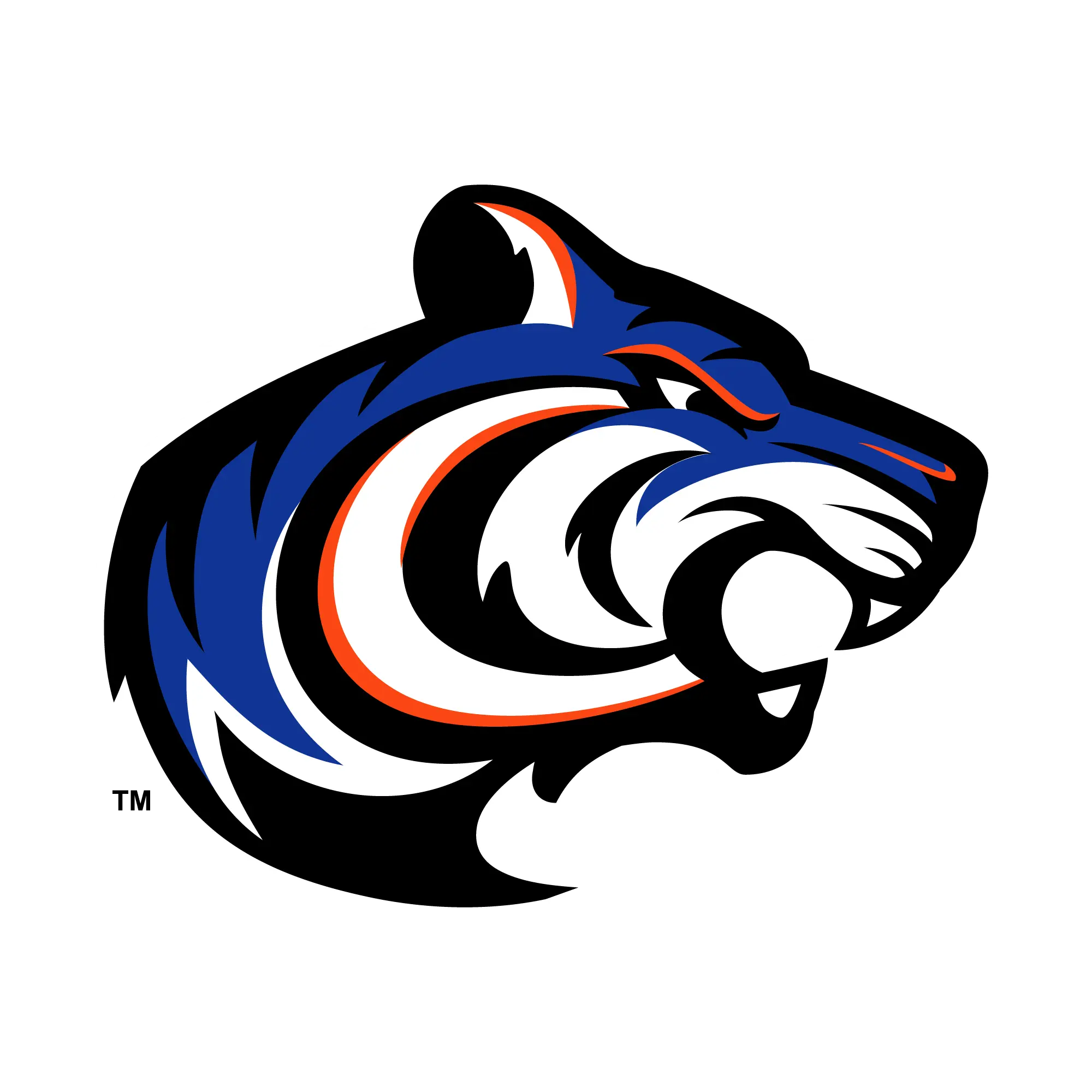 christiancountyhs_13_mascot_sidefacing-1