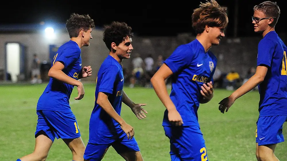 tiger-soccer-2
