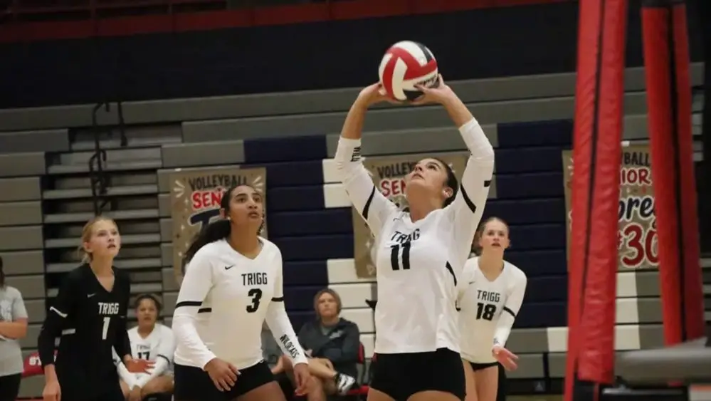 trigg-central-27-3