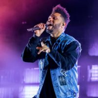 shutterstock_731141839-5