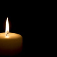 shutterstock_275622632-2