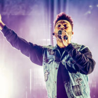 shutterstock_1045363270907314