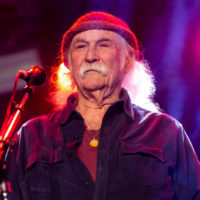 shutterstock_1167882529237939