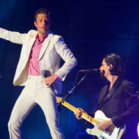 shutterstock_1145703542423503