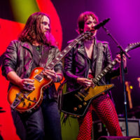 shutterstock_1431643421798534