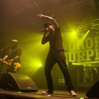 shutterstock_199825658711578