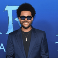 shutterstock_2246237069273485