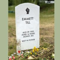 shutterstock_1865541325554167