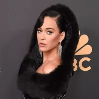 shutterstock_2353432867448413