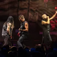 shutterstock_1136555402359271