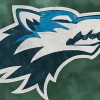 AI-generated image Winter scene minnesota timberwolves LOGO nba finals champions 2024 (This content was generated by an Artificial Intelligence (AI) system)