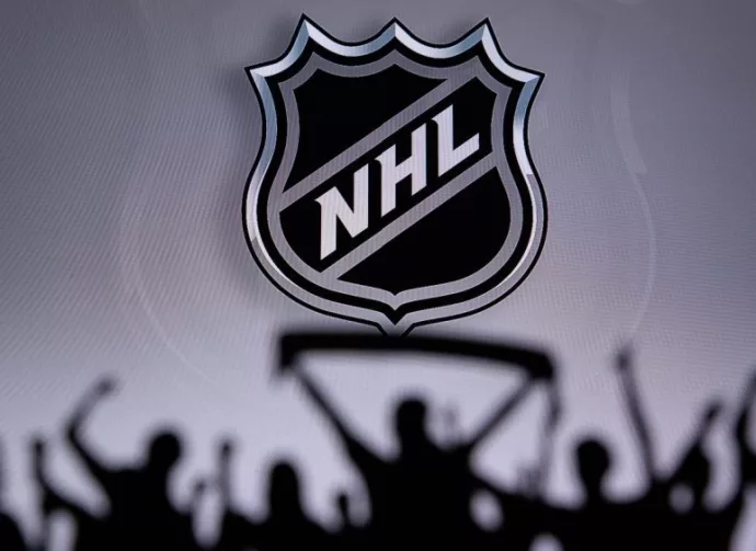 National Hockey LeagueFans Silhouette. Crowd celebrate and support the NHL hockey Team. Sport photo^ edit space