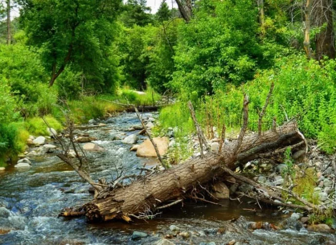Ruidoso River in Ruidoso^ New Mexico.
