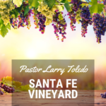 santa-fe-vineyard