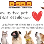 pets-that-steal-our-hearts-slider-2