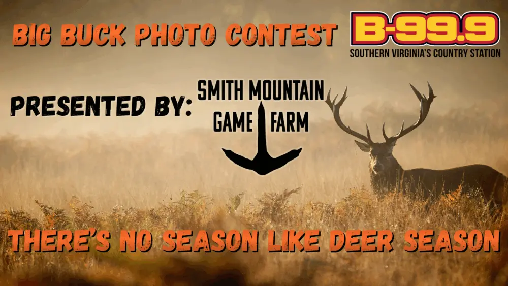 thumbnail_2560x1440-2