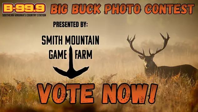 thumbnail_633x357-big-buck-vote-now