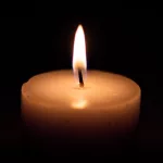 shutterstock_1392404078891761