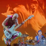 shutterstock_430252678907701