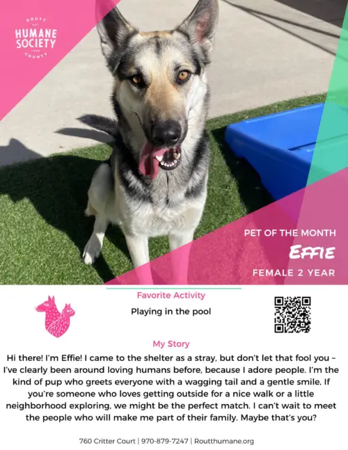 effie-wk-1