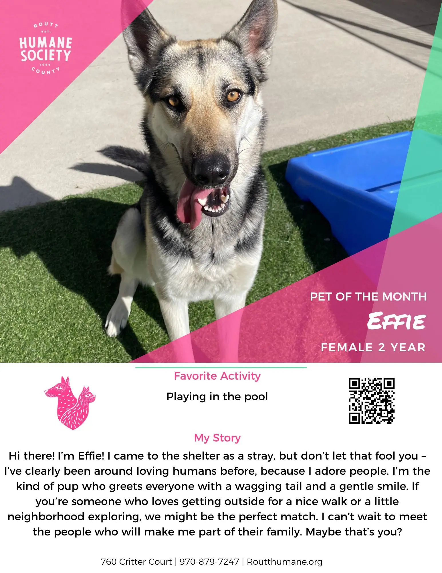 effie-wk-1