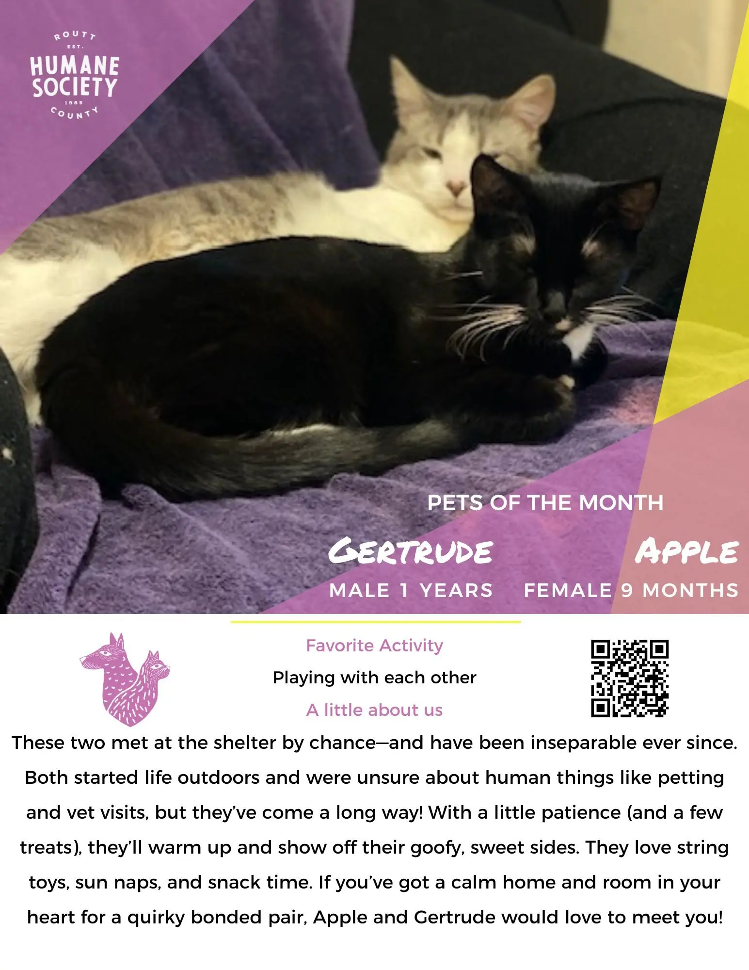gertrude-and-apple