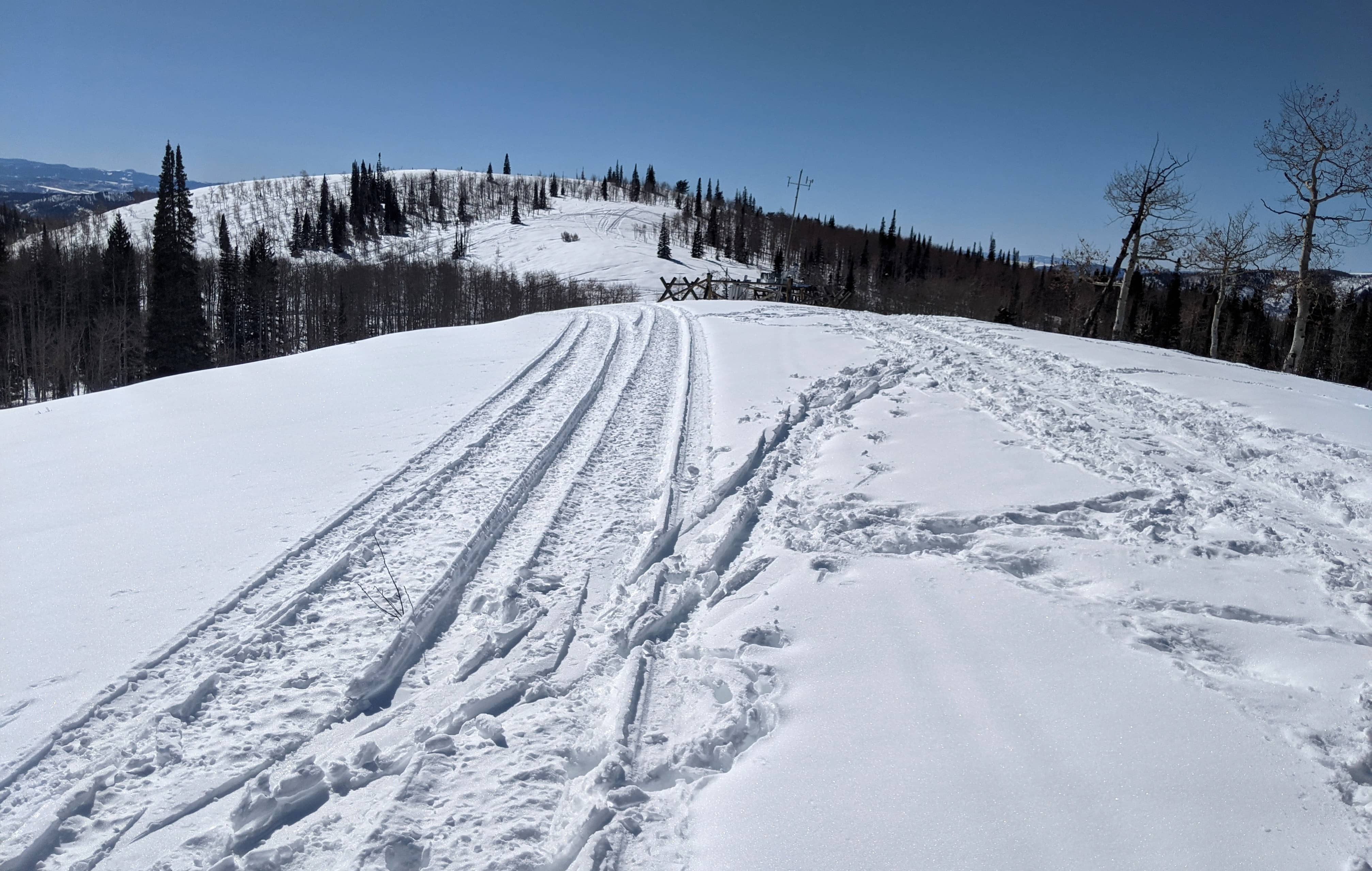 illegal-tracks-near-dry-lake-marilyn-mccaulley-001