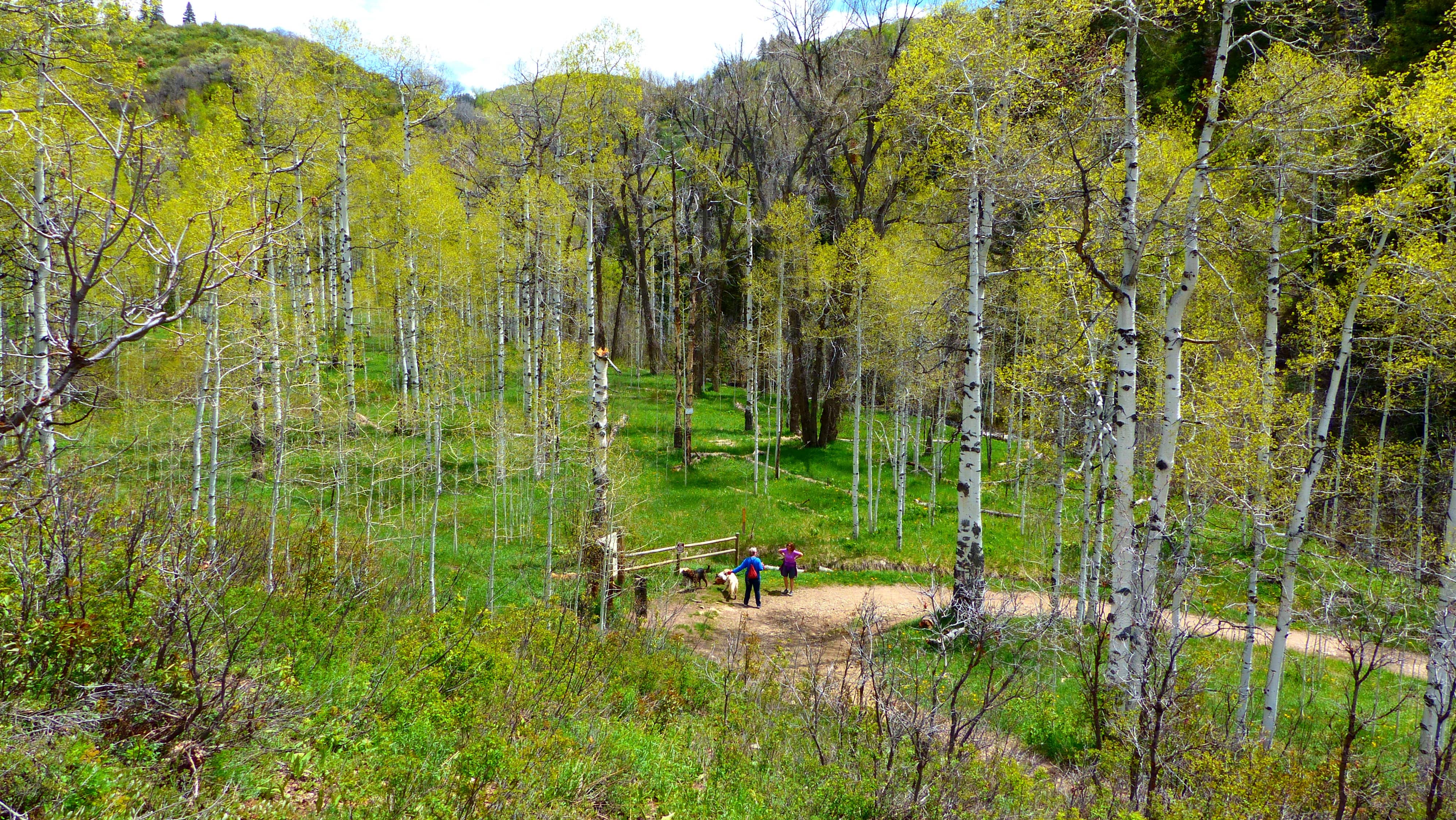 spring-creek-trail-001