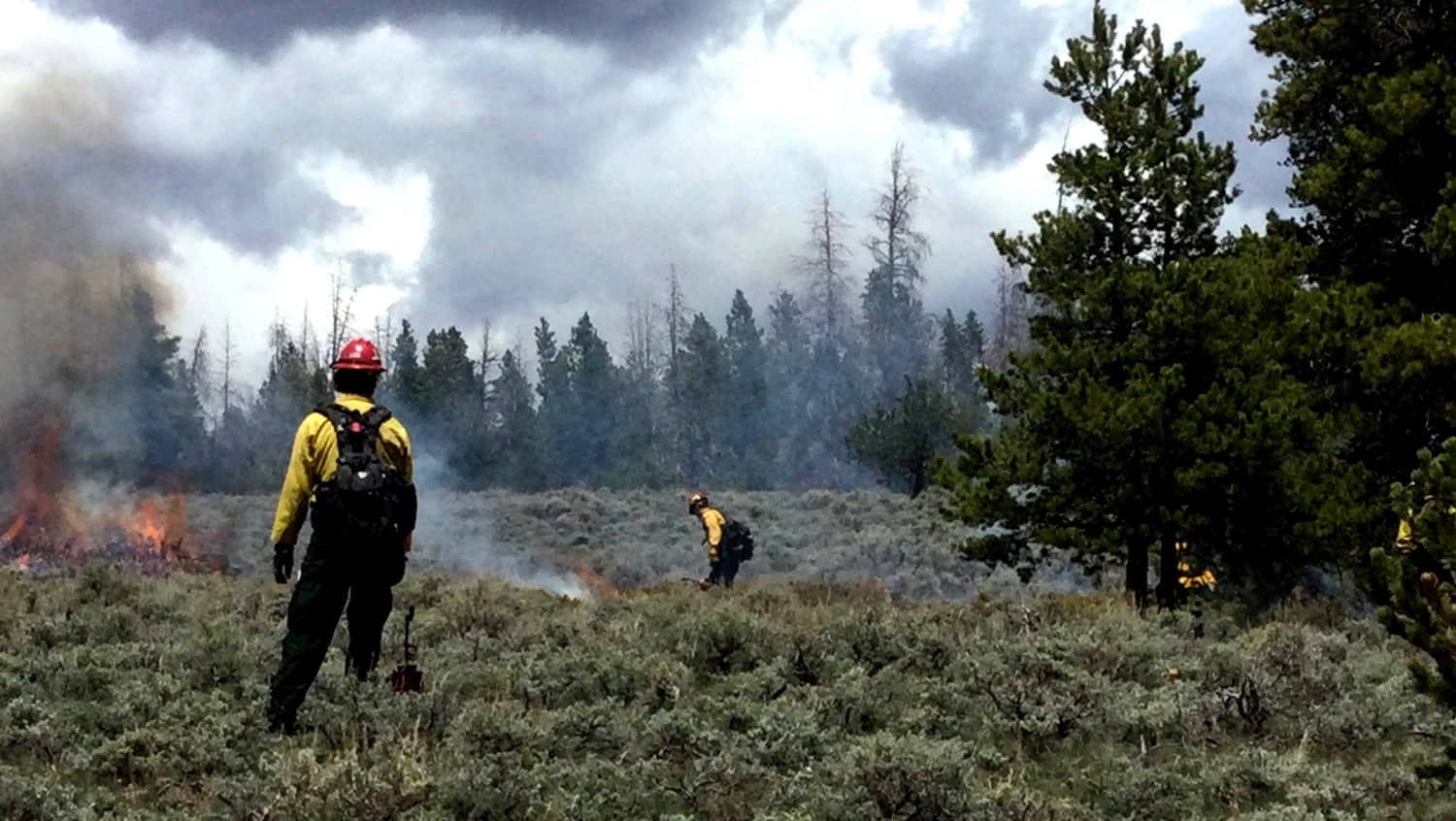 prescribed-burn-polemtn_052021_ffsinmixedveg_blakecreagan-002-001