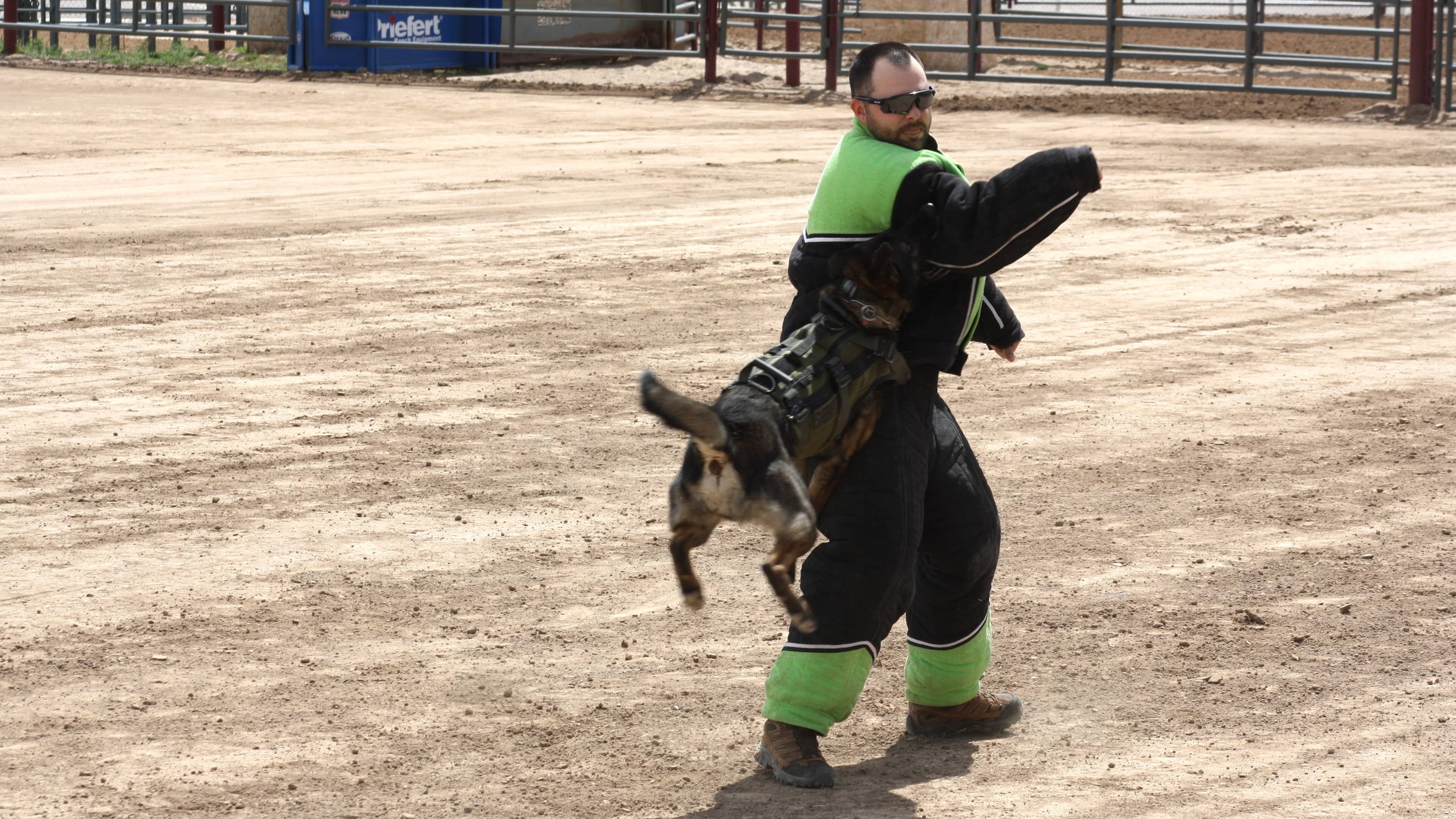 gcso-a-flying-leap-attack