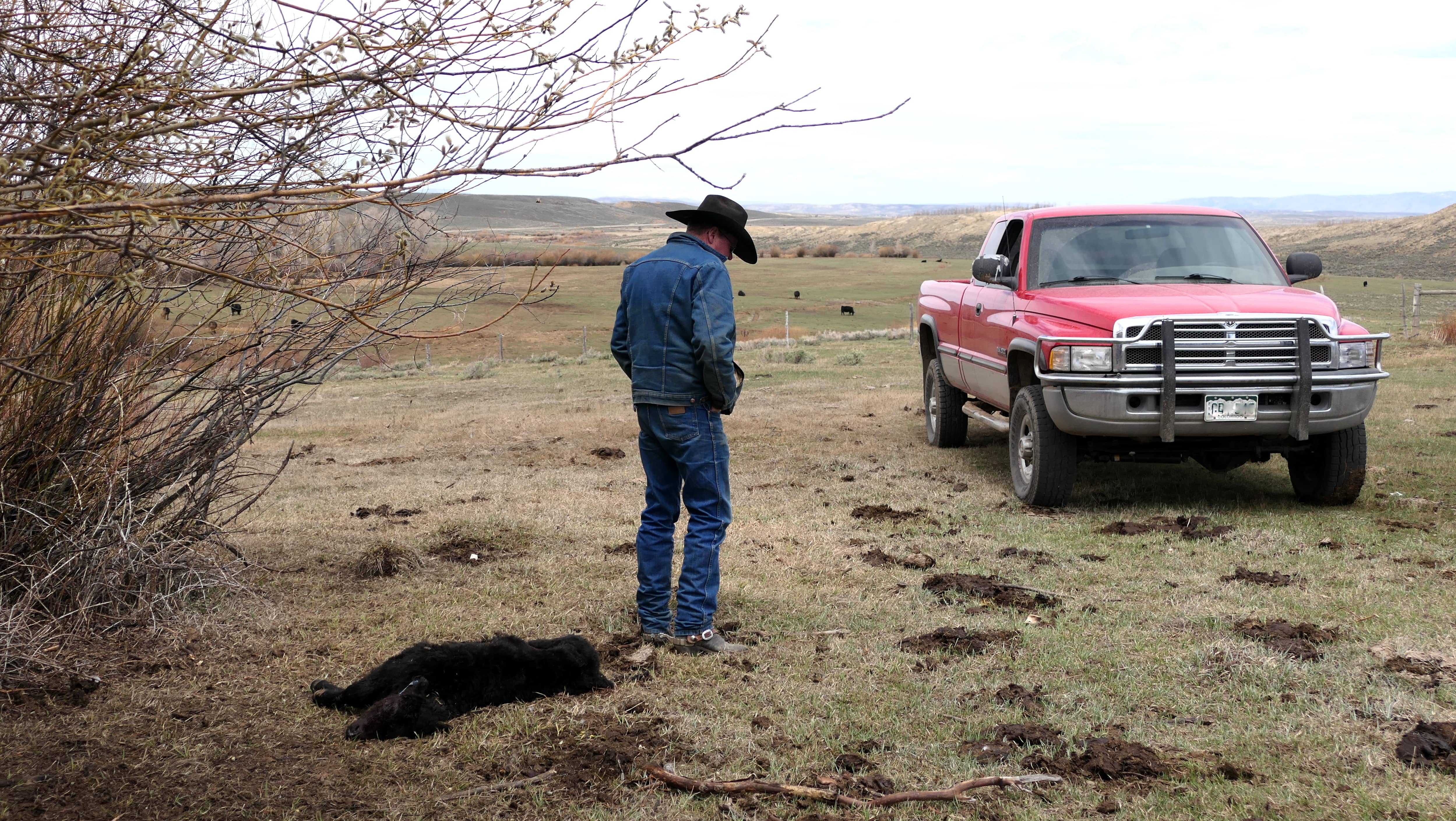 arapaho-ranch-foster-103