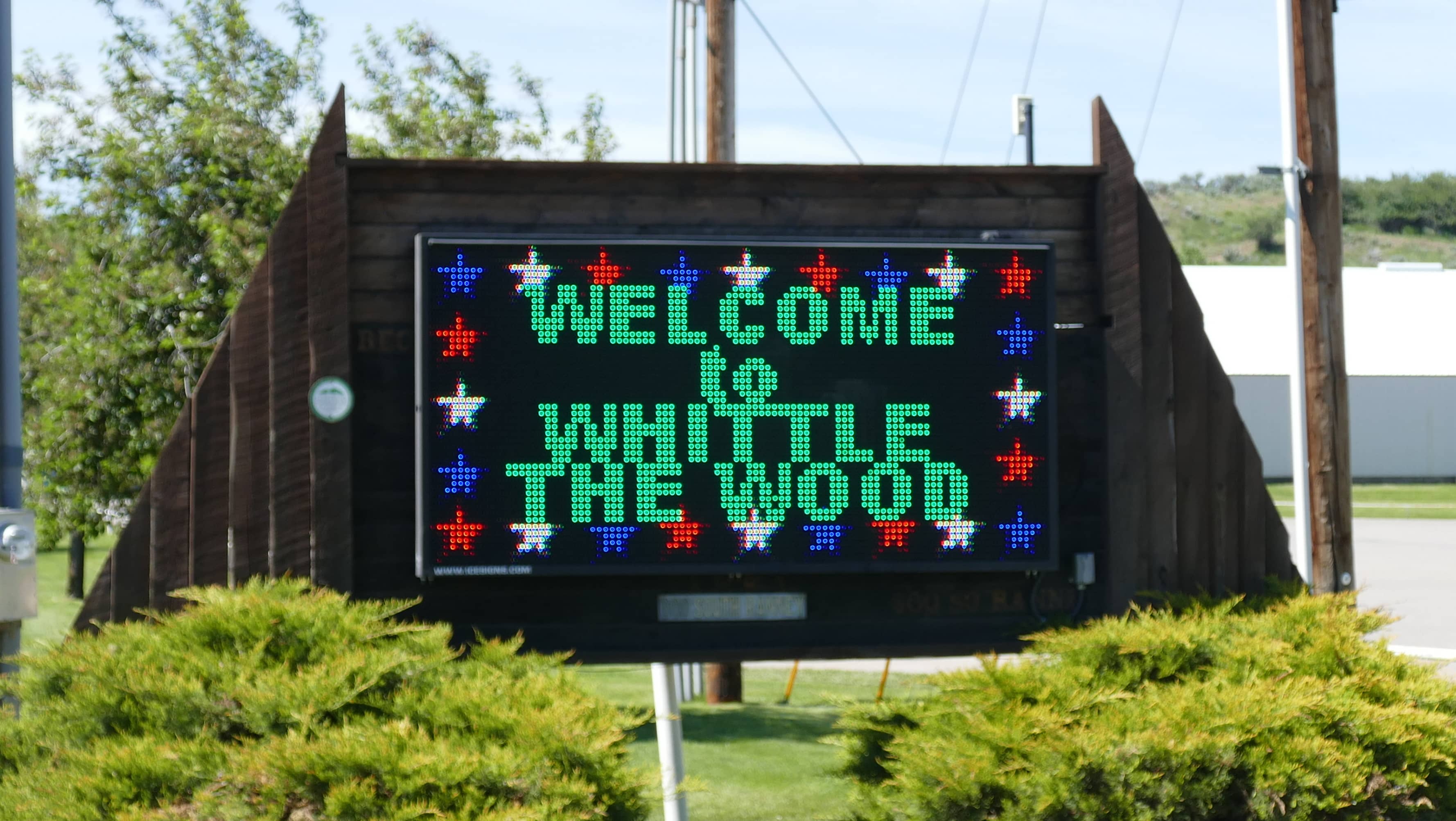whittle-the-wood-2019-006