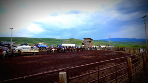 family-ranch-rodeo-egeria-park-roping-club-july-10-2022-190