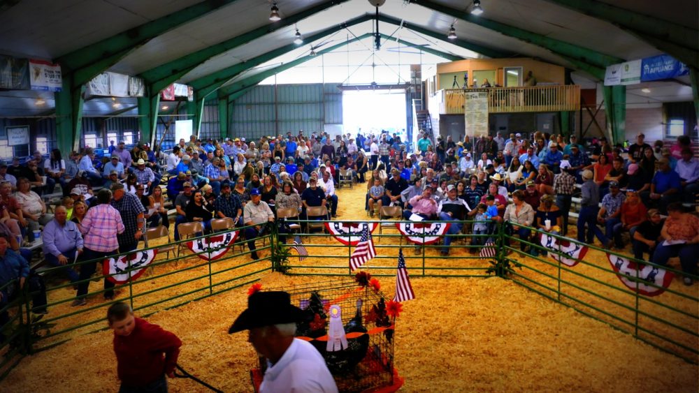 moffat-county-fair-in-craig-2021-slider