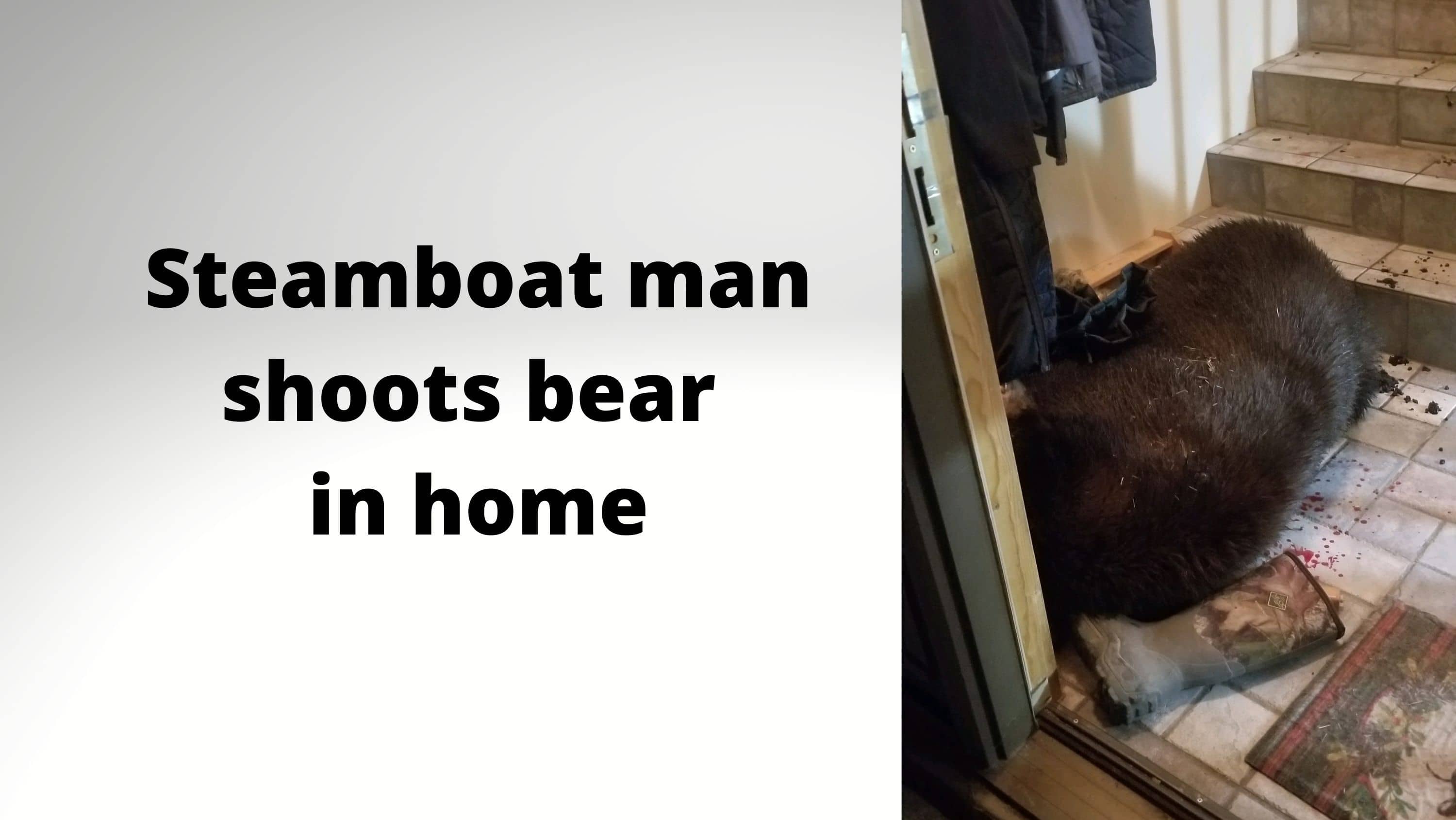 steamboat-man-shoots-bear-in-home