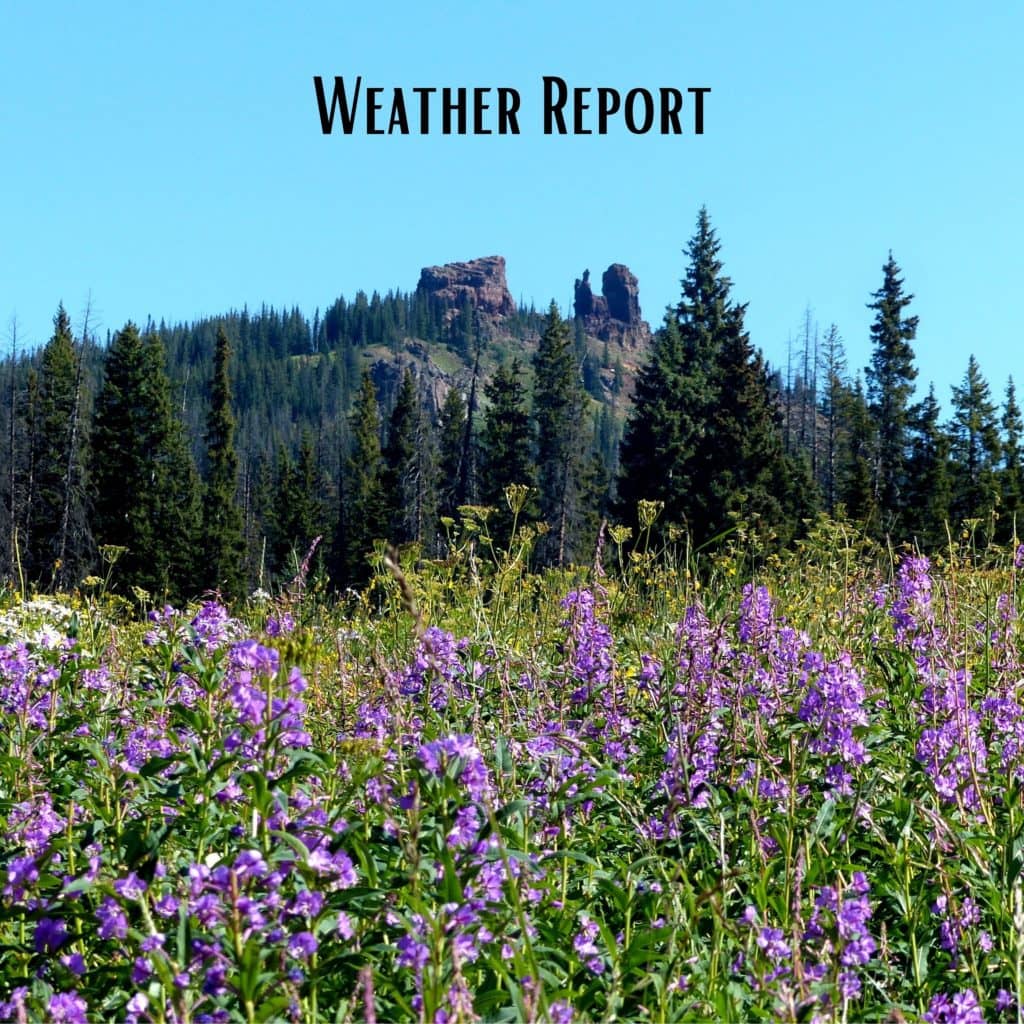 weather-report-1024-x-1024-px