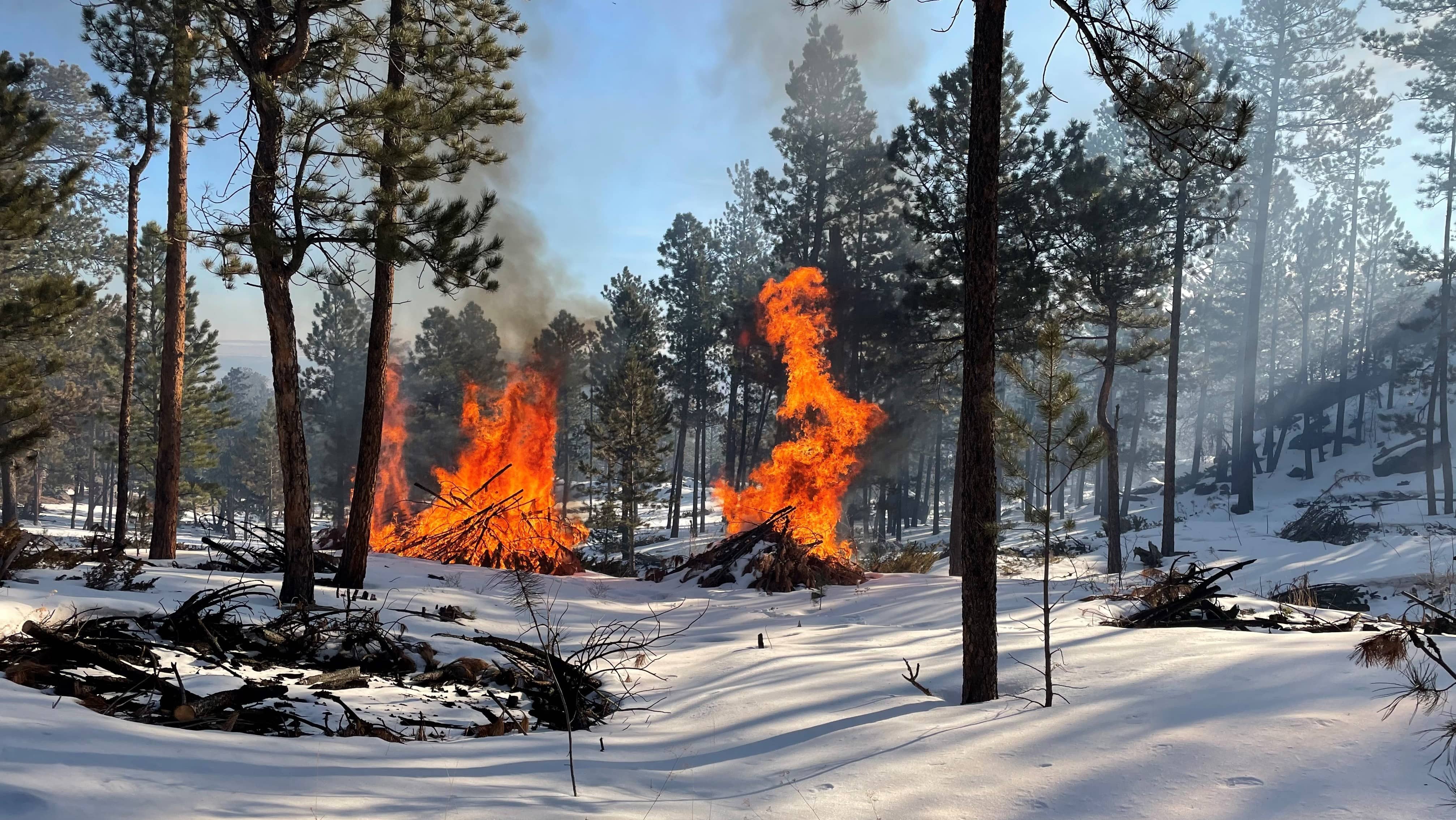 Slash Piles To Be Burned In National Forests Steamboat Radio