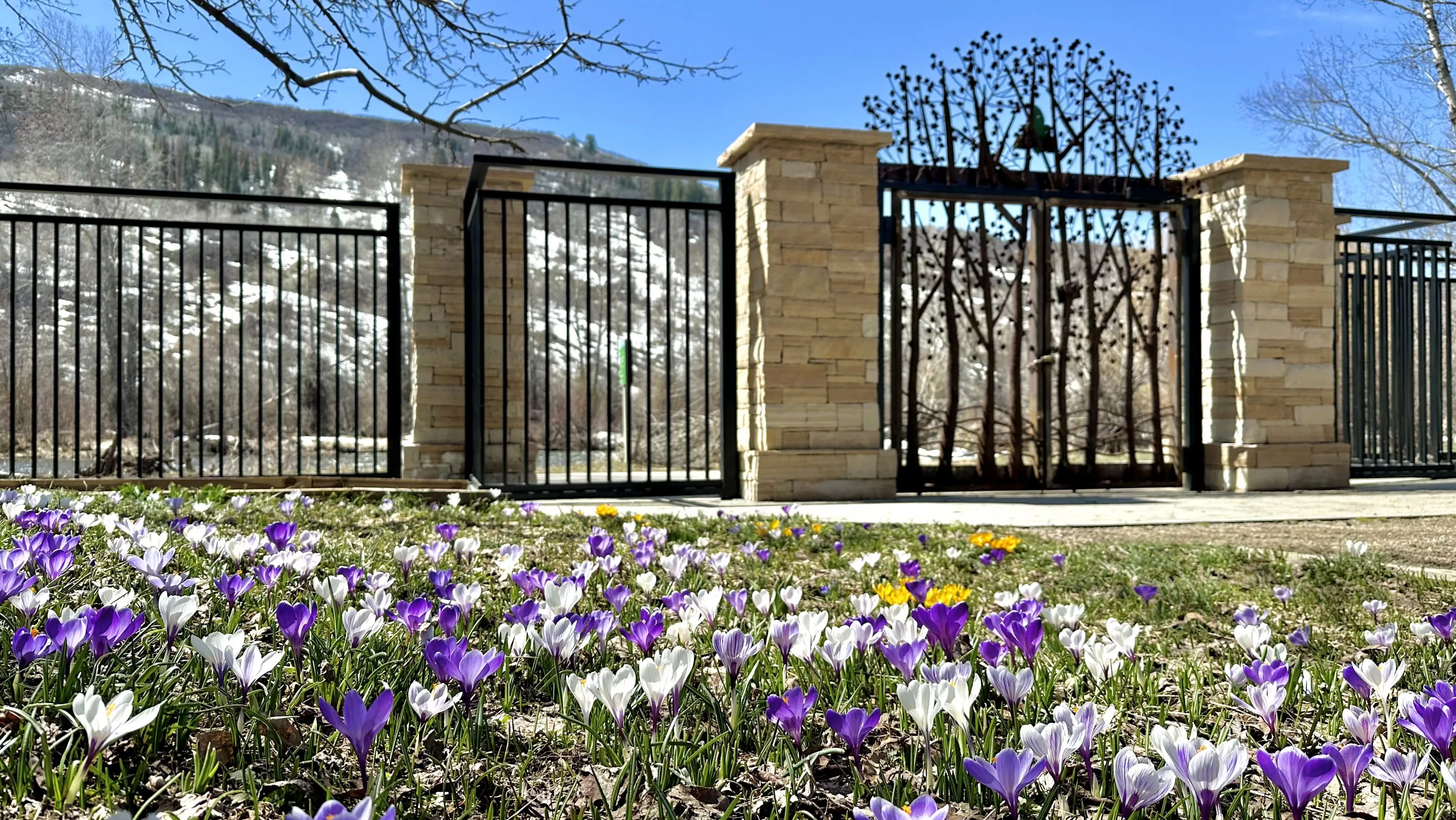 botanic-park-spring-blooms-slider