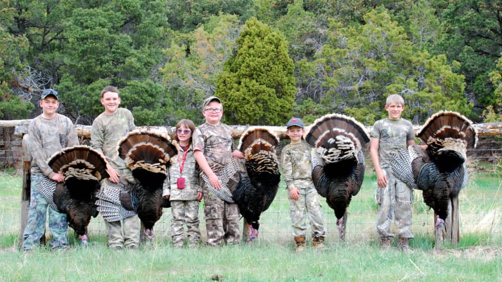 Novice hunters can apply for a chance to learn how to hunt turkeys - Vimarsana News