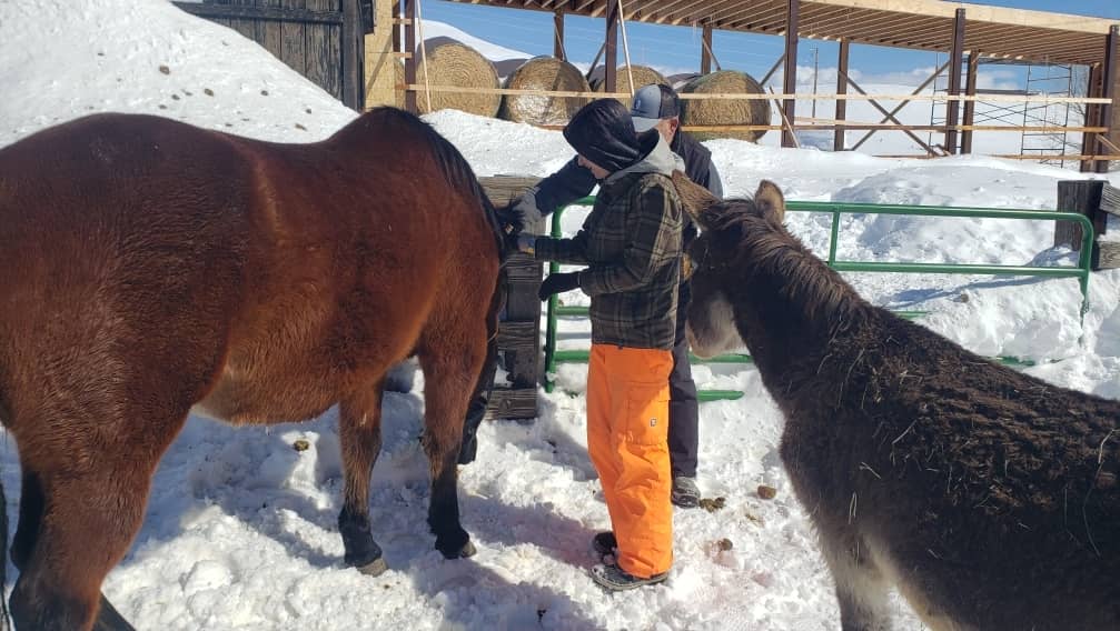 warhorse-ranch-xavier-1